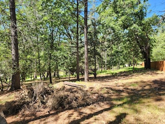 401 Iyu Camp Ln, Applegate, CA 95703
