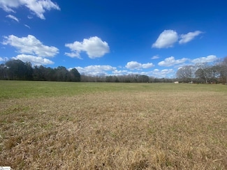 00 U S 221 Hwy N, Laurens, SC 29360