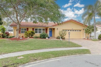 1204 San Domingo Ct, Clearwater, FL 33759
