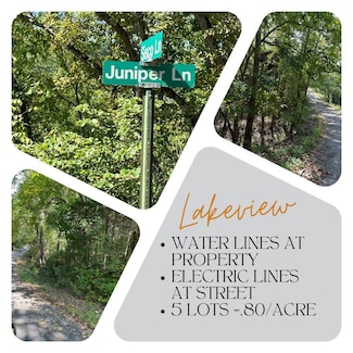 000 Juniper Ln, Shell Knob Township, MO 65747