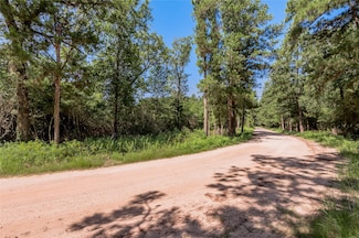 9238 Rocky Ridge Ln, Madisonville, TX 77864