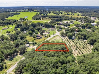 TBD E Highway 25, Weirsdale, FL 32195