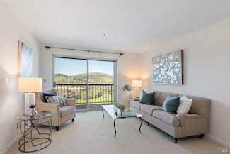 100 Thorndale Dr Unit 432, San Rafael, CA 94903