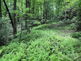 TBD Caroline Ln Unit 7R, Pisgah Forest, NC 28768