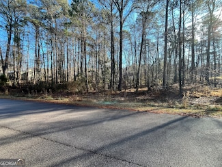 0 Oak Leaf Dr Unit 10575031, Stockbridge, GA 30281