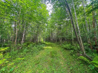 93.89 A Kundinger Rd, Eisenstein, WI 54552