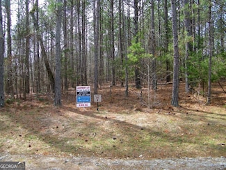 LOT 7 Blackberry Bend, Elberton, GA 30635