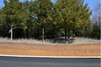 60 Timber Bank Dr, Gordonville, TX 76245