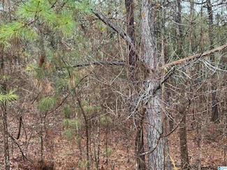 286 Willow Ln Unit 5, Vincent, AL 35178