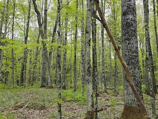 Lot 37 Yellow Rd, Nisula, MI 49952