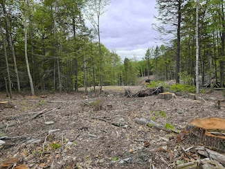 143 Garmish Dr, New Durham, NH 03855