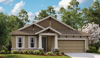 6237 Golden Nettle Dr, Apollo Beach, FL 33572