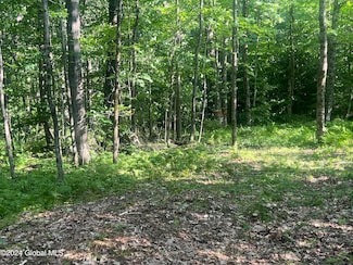 L45, Johnstown, NY 12078