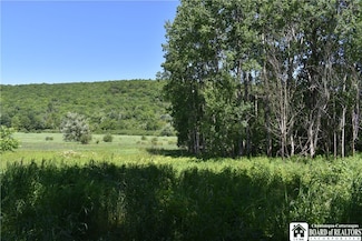 0 Farrington Hollow Rd, Cherry Creek, NY 14723