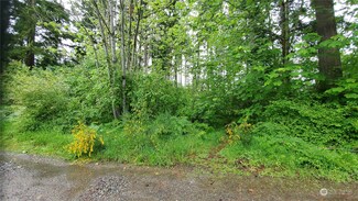 15630 Scenic Shores Dr SE, Yelm, WA 98597
