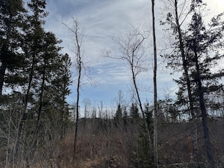 TBD Cth T, Pearson, WI 54462
