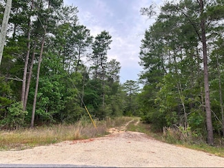 799 O'Sage Dr, Defuniak Springs, FL 32433