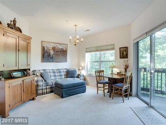 824 Runabout Loop, Solomons, MD 20688