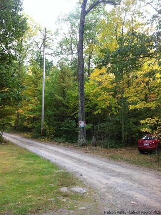 40 Cherry Ln, Kerhonkson, NY 12446