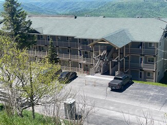 202 Summit Dr, Snowshoe, WV 26209
