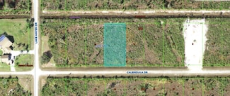 518 Calendula Dr, Indian Lake Estates, FL 33843