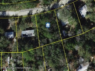 6736 W Pershing Dr, Homosassa Springs, FL 34448