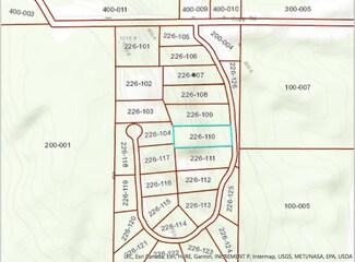 5156 Burt Lake Views Dr, Alanson, MI 49706
