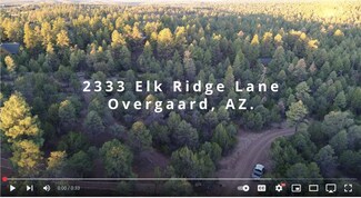 2333 Elk Ridge Ln, Overgaard, AZ 85933