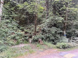 64017 E Cascade Dr Unit 1-194, Marblemount, WA 98267