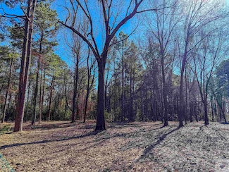 TBD Old Blackman Ferry Rd, Texarkana, AR 71854
