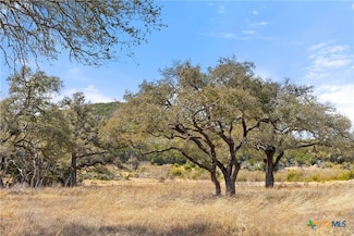 535 Becker Rd, Johnson City, TX 78636