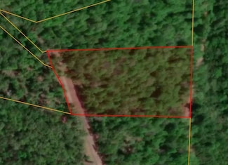 000 Carlos Way, Mountain View, AR 72560