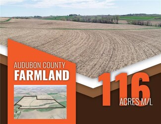 00 County Road F58 Littlefield Dr Rd, Exira, IA 50076