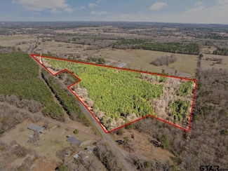 Lot 10 Cr 1350, Pittsburg, TX 75686