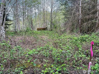 15709 125th Ave NW, Gig Harbor, WA 98329