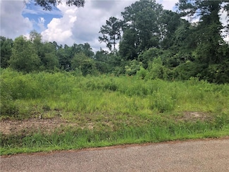 24417 Bardwell Ln, Ponchatoula, LA 70454