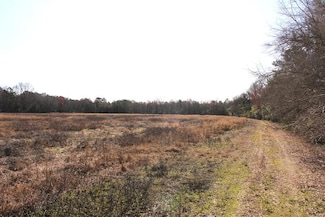 0 Corona Dr Unit 25006444, Wilkinson Heights, SC 29115