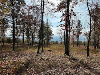288 Duckwood Ln, Evensville, TN 37332