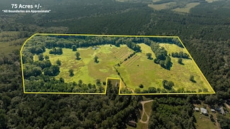 TBD 75+ Acres Don Anderson Rd, Huntington, TX 75949