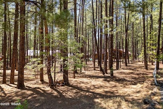 8510 Alchesay Dr, Pinetop, AZ 85935