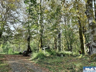 0 Lakenes Rd Unit 381459, Quilcene, WA 98376