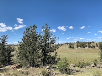 449 Dudley Dr, Hartsel, CO 80449