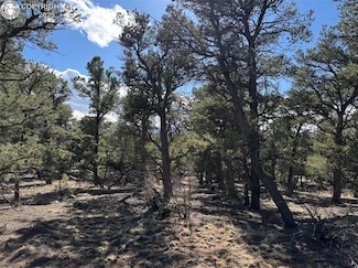 TBD 14th Trail, Cotopaxi, CO 81223