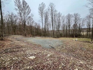 000 Hall Rd, Springfield Township, PA 16914