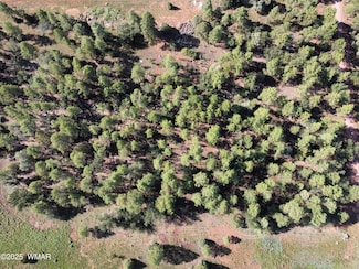 2651 Alisa Ln, Pinetop-Lakeside, AZ 85929
