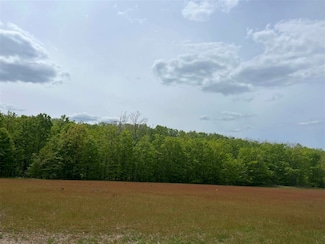 3374 Click Rd, Bear Creek Township, MI 49770