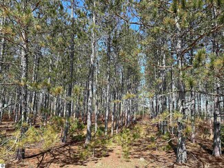 lot 4 Meadow Ln, Colfax Township, MI 49683
