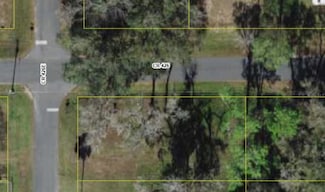 2727 County Road 426, Lake Panasoffkee, FL 33538