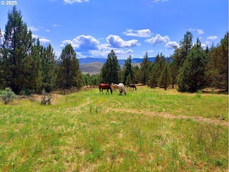 0 Wiley Creek Rd Unit 148079631, Dayville, OR 97825