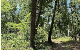 TBD 179th Rd, Live Oak, FL 32060